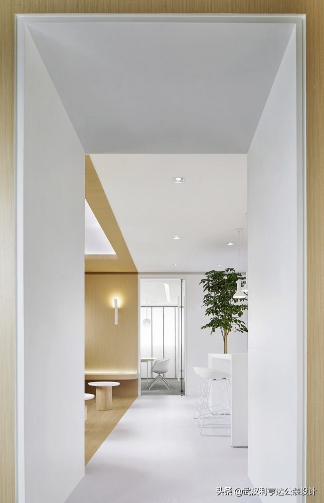 绿意盎然的氛围感,让你的办公环境变得更舒心