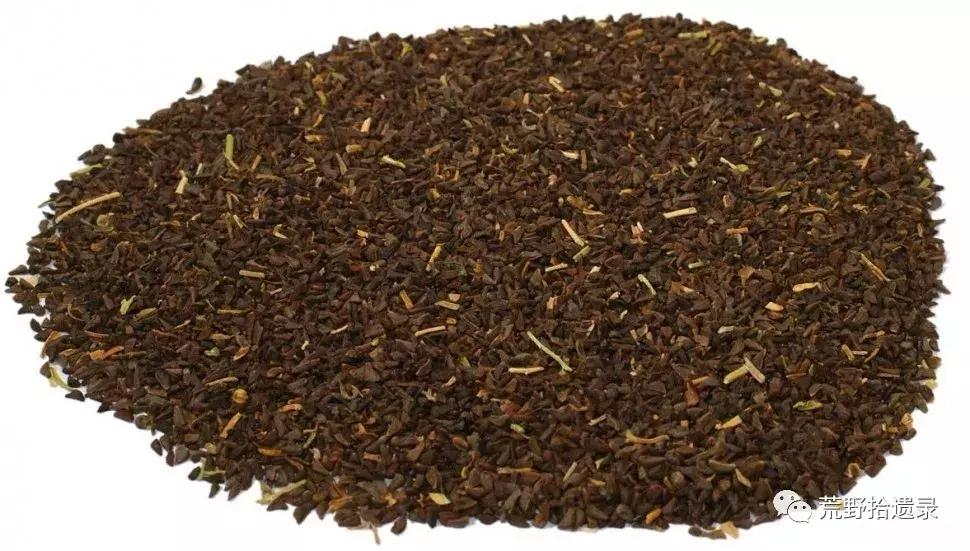 改变世界的植物：骆驼蓬PeganumharmalaL.