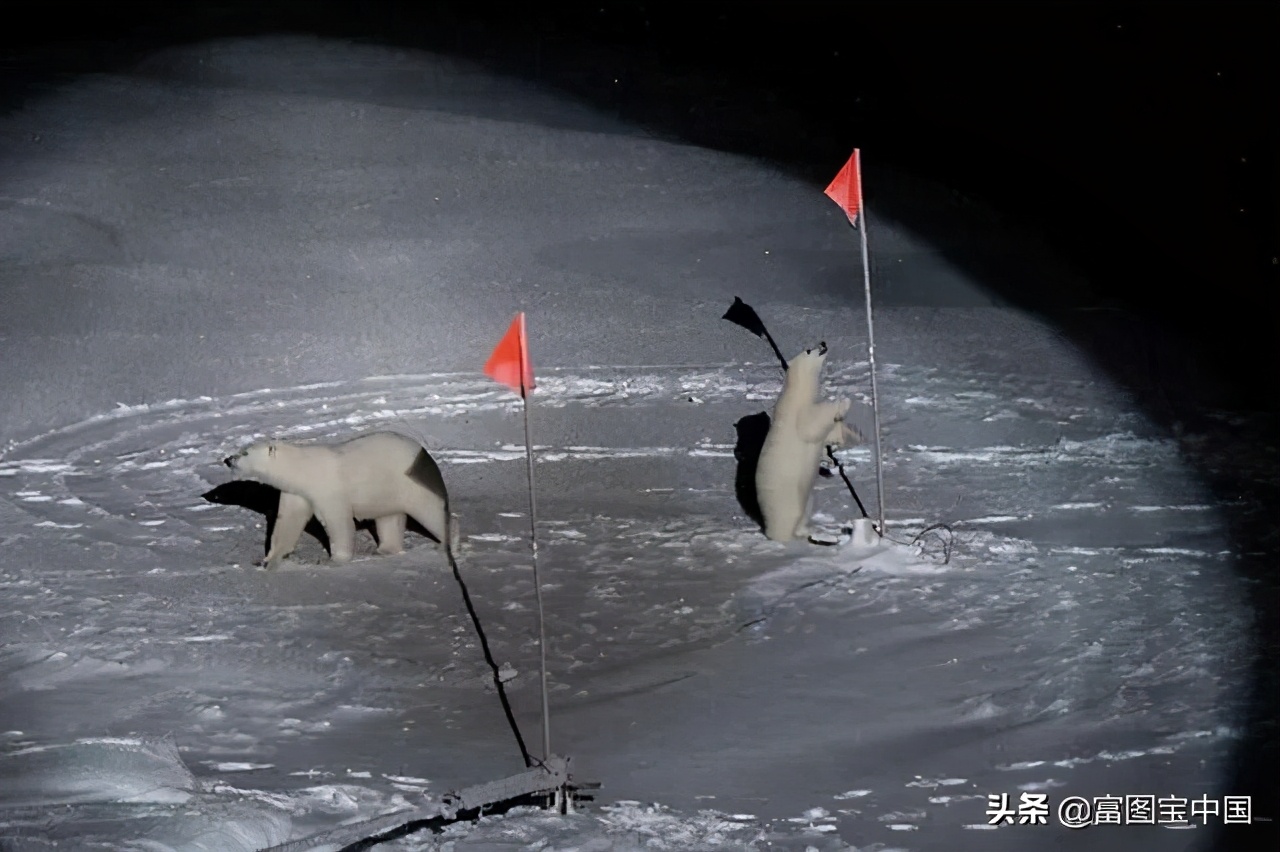 世界摄影大赛获奖作品2020,世界摄影大赛冠军作品