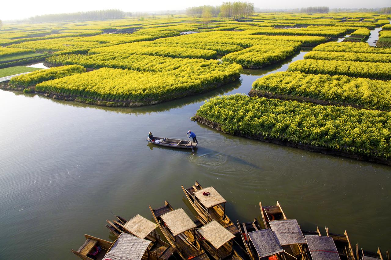 世界四大名花海,世界四大花海排名
