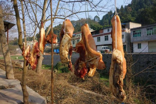 熏腊肉不怕臭吗,熏腊肉会把肉熏熟吗