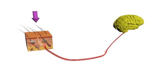 几个月宝宝怕生怎么引导,怎么解决宝宝怕生的问题