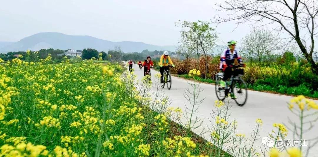 庐江乐桥岱尔山景区,庐江矾山有哪些景区