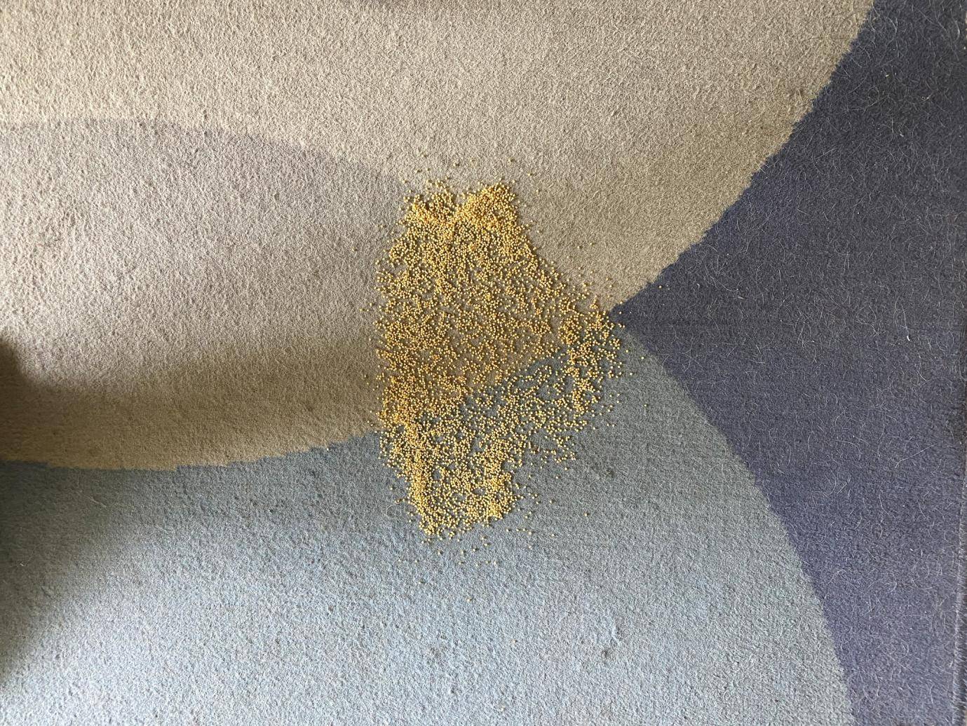 一人轻松扫全屋,娇小女生最爱用?顺造轻量手持吸尘器L1体验