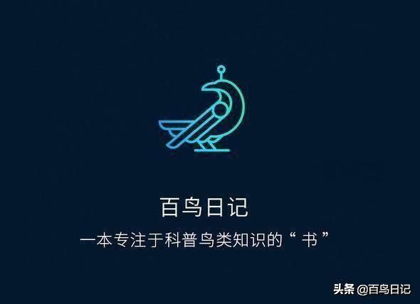 鸟类病菌,鸟类传播病菌厉害吗