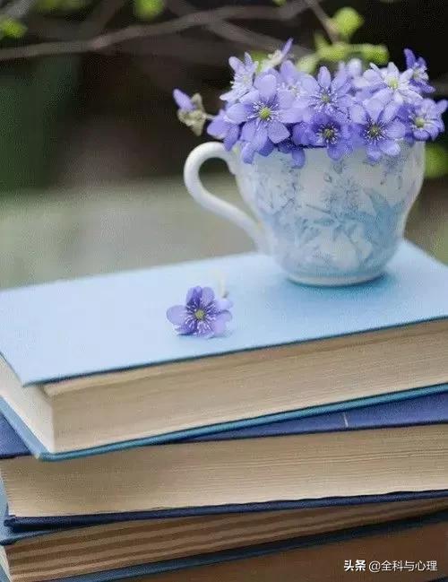 心灵鸡汤人生感悟正能量的句子,心灵鸡汤感悟人生正能量的句子