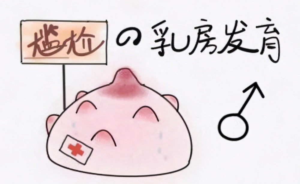 乳房发育以后需要注意什么,乳房发育从几岁开始