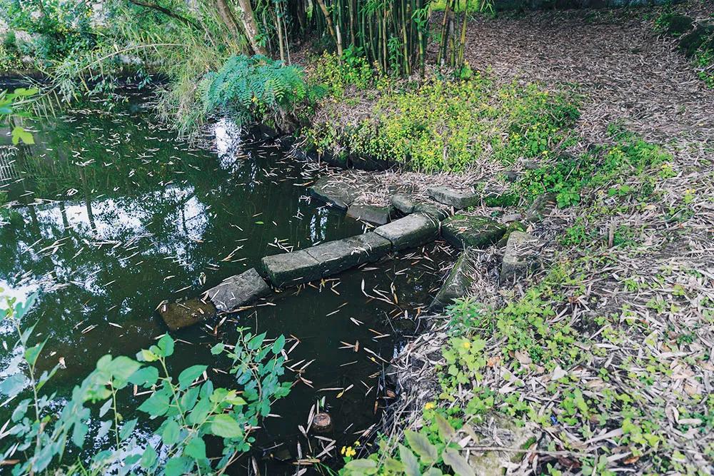 重庆市垫江县鹤游坪,垫江鹤游坪古镇