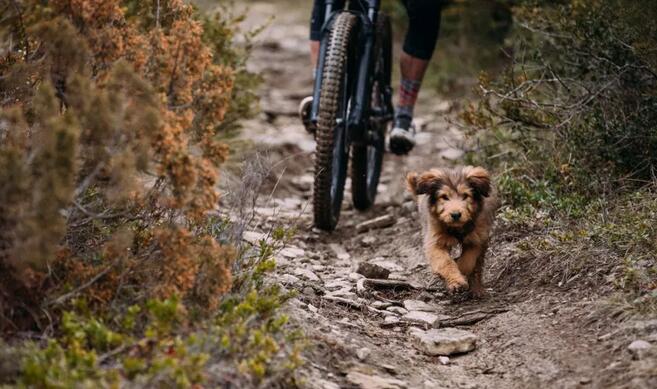 十款性价比高的入门级山地车,入门级的山地车哪款好