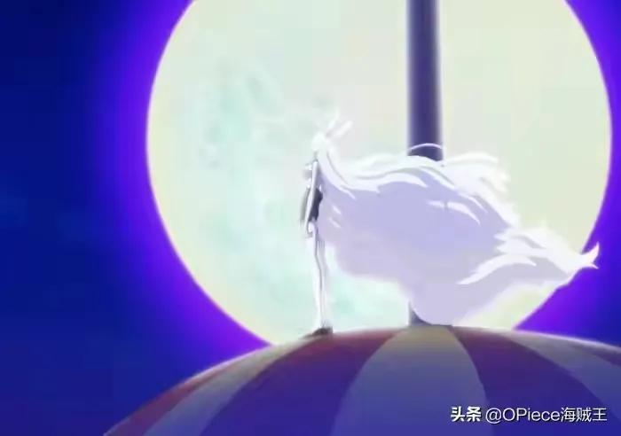 海贼王机械甲,海贼王里特殊的武器