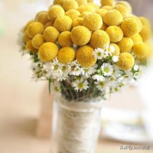 再见除了用goodbye还能说什么,goodbye表示长时间告别吗