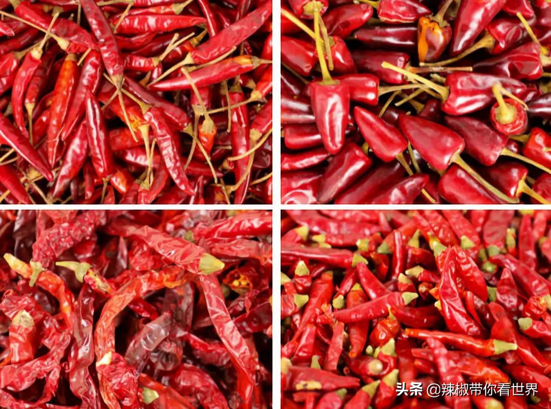 从西到东：贵州——沿河流“黔”行在这里一万种辣椒吃法向你奔来