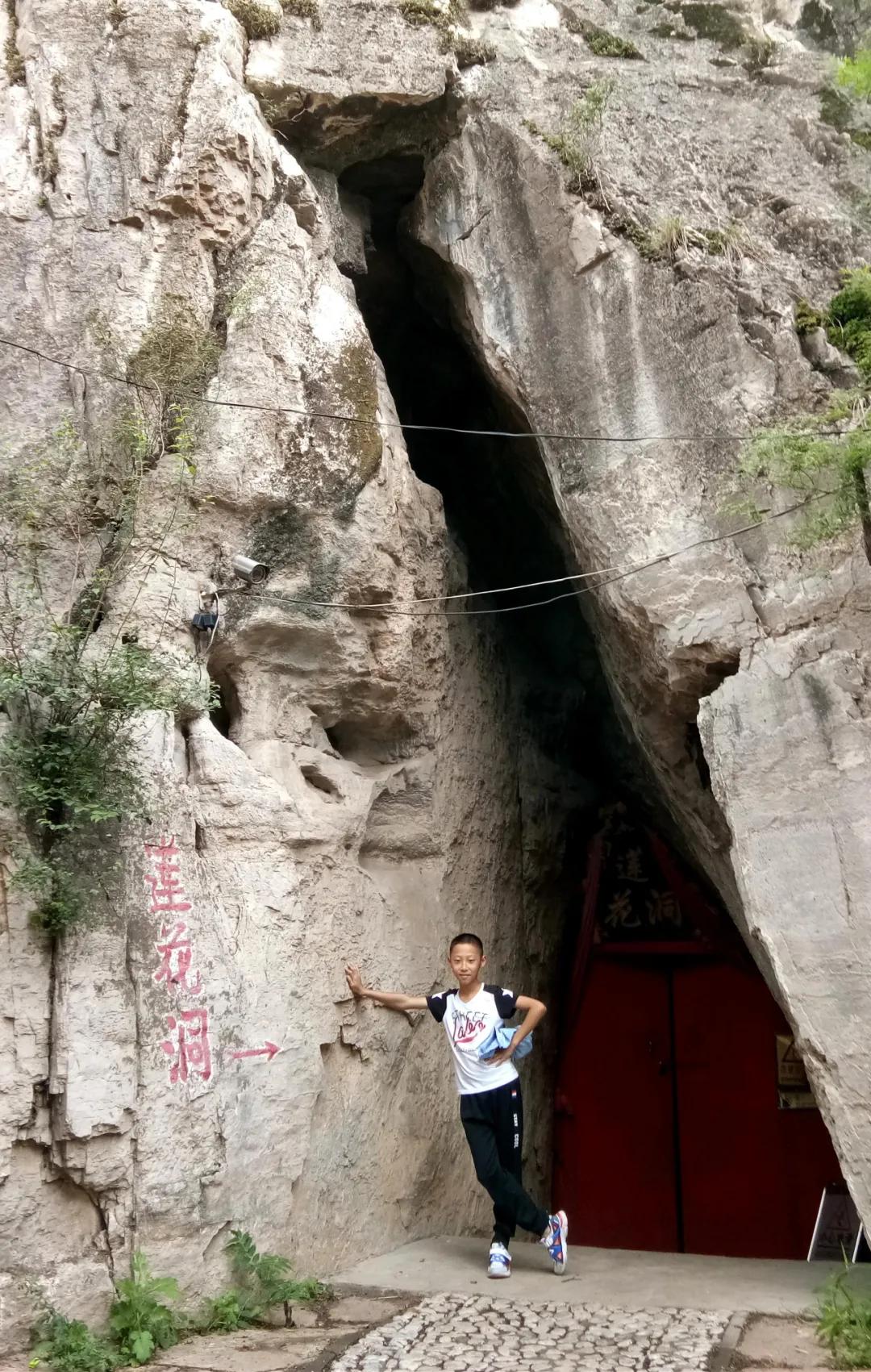 鑱氶緳灞辫幉鑺辨礊瑙嗛,姝﹀畨鑾茶姳娲炶仛榫欏北