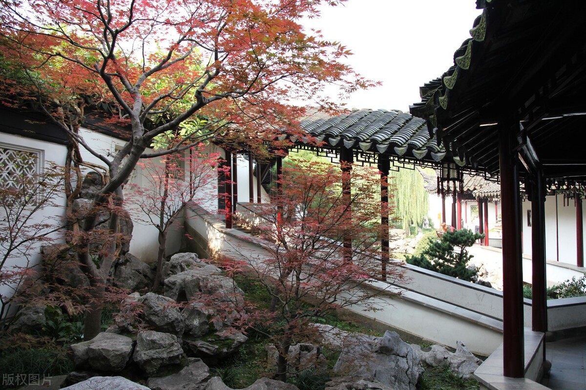 明清故事：冒名顶替诱骗朋友妻，阴差阳错惹出人命案