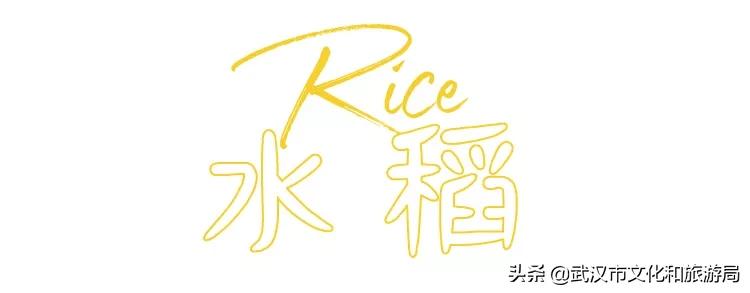 板栗葡萄采摘园,板栗桠葡萄采摘园