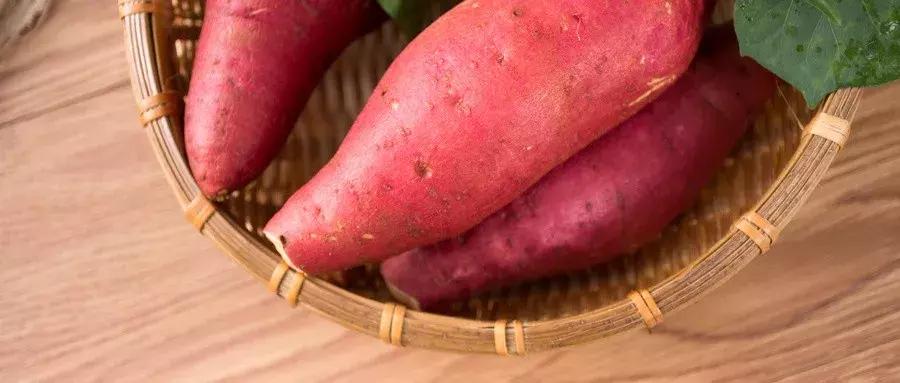 5万元开什么连锁店好赚钱,5万块钱开什么加盟店好暴利