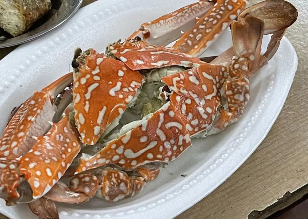 一次惬意的厦门之行,一家三口厦门玩四天