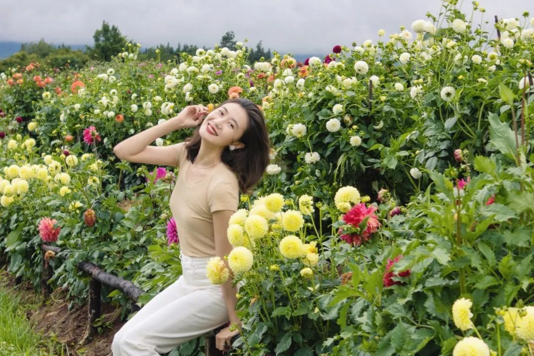 张萌学习的是精力管理,张萌精力管理50讲清晰完整