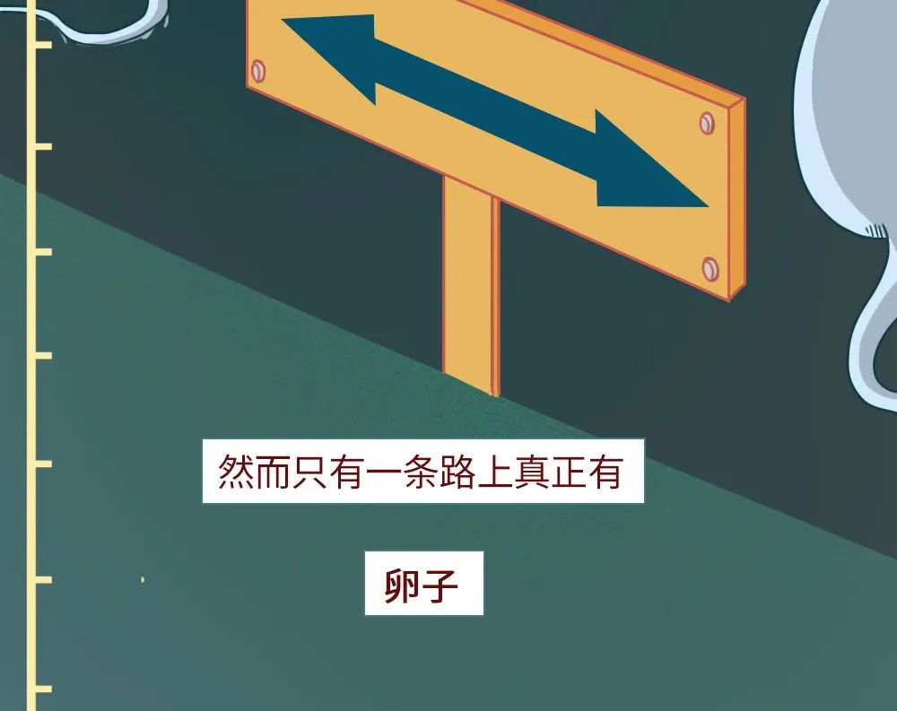 科普知识精子液化后的状态,男性精子在体内存活时间