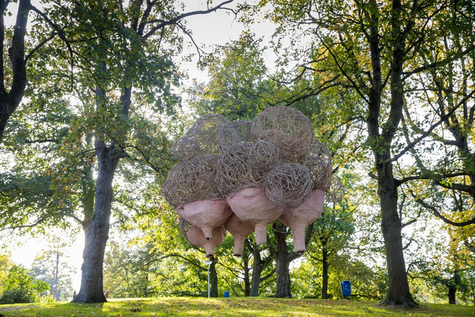 你来荷兰不可不打卡的梵高足迹地,荷兰梵高观光地点