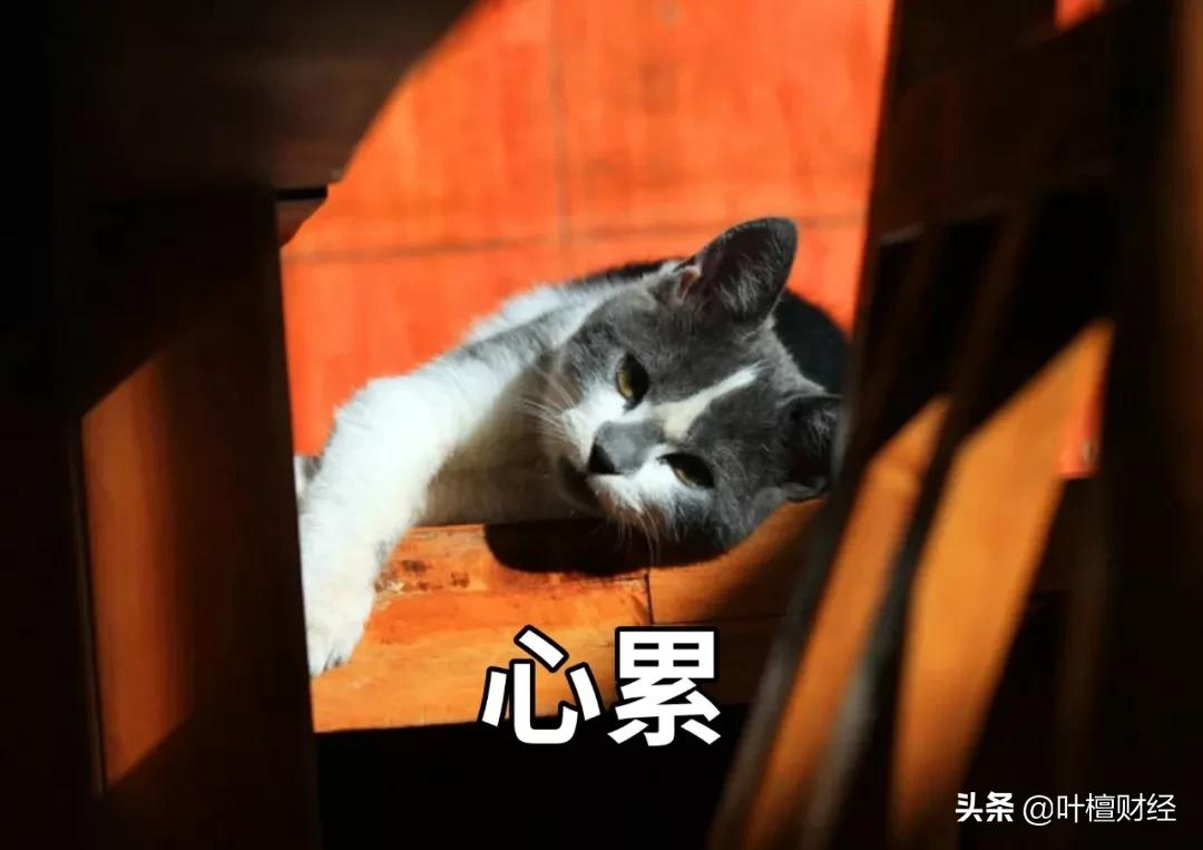 潮涌500倍！曾豪掷百亿引爆市场！如今危险一触即发？