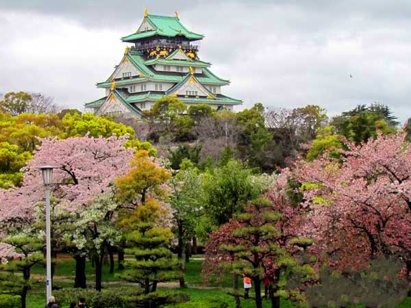 日本埼玉浦和,日本女团琦玉体育馆