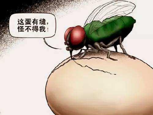 中国足球奇葩一幕,中国足球奇葩