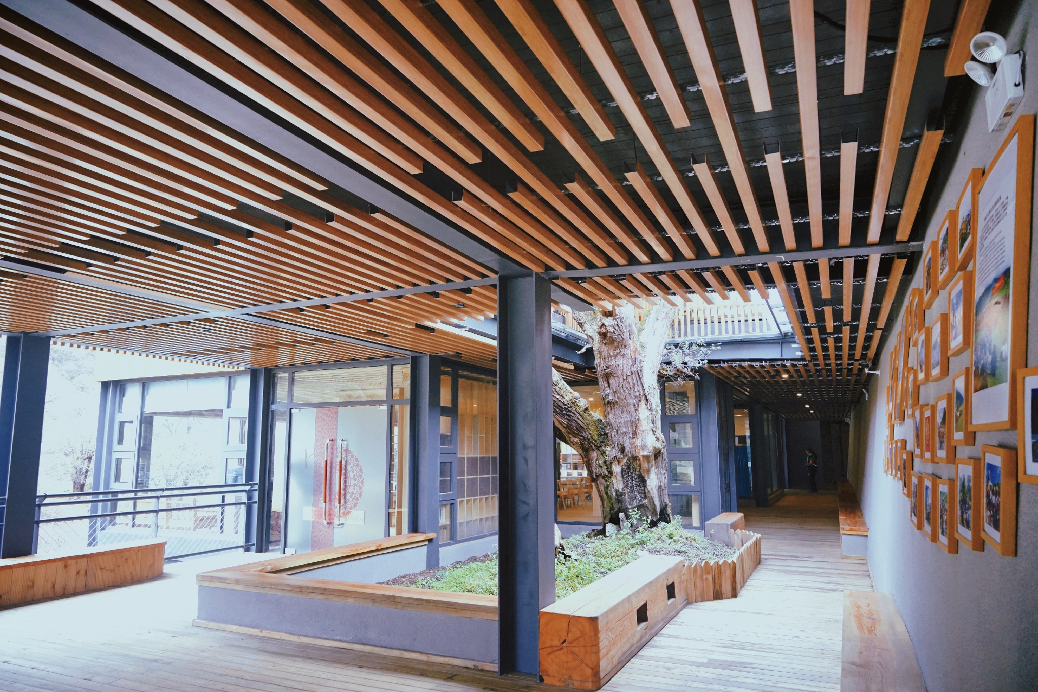 四川旅游四姑娘山阿坝,4月阿坝州必去的景点有什么