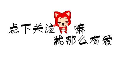 金毛正确喂养,金毛喂养的6大原则