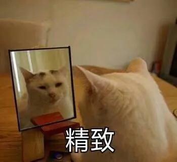 十大建议买的爽肤水,女生必买的三款爽肤水