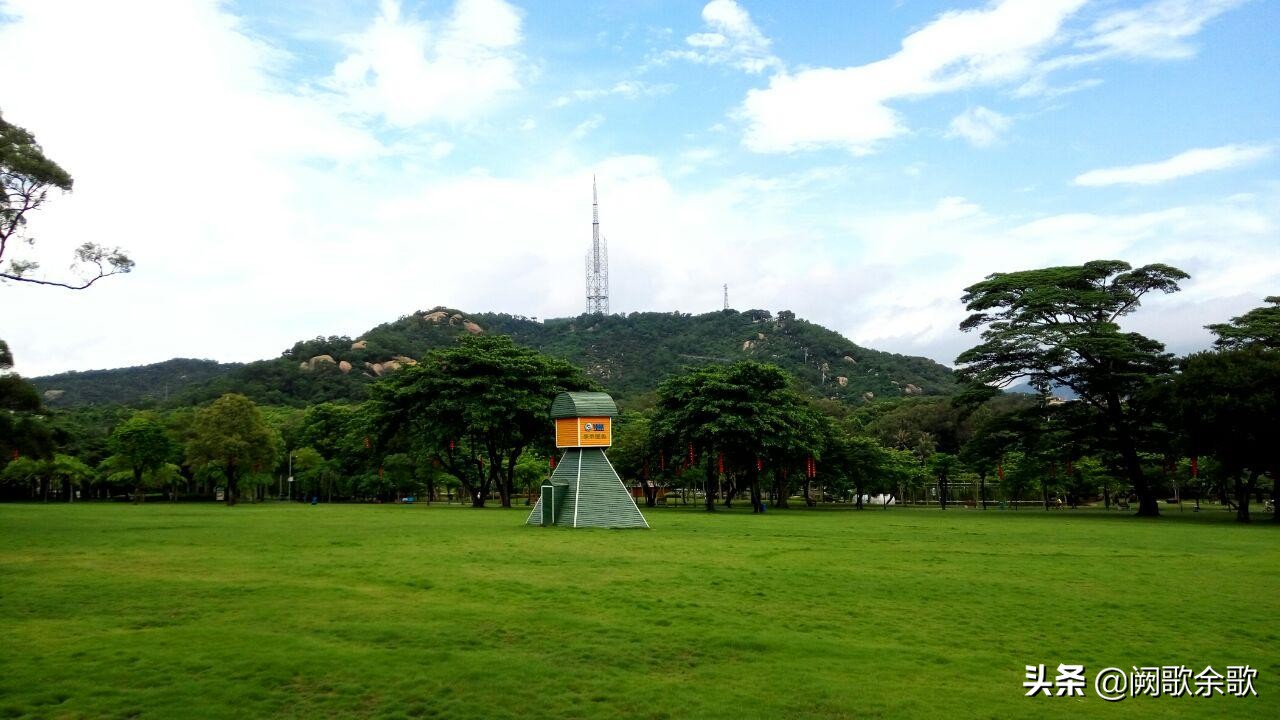 珠海公园森林风景,珠海公园美景视频