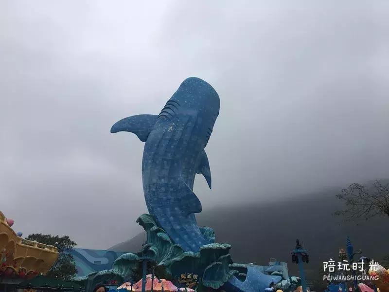 长隆什么时候去最好玩,一个人带两娃出去长隆有危险吗