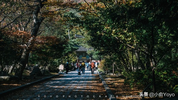 韩国旅游不可错过的景点,韩国不能错过的3部电影