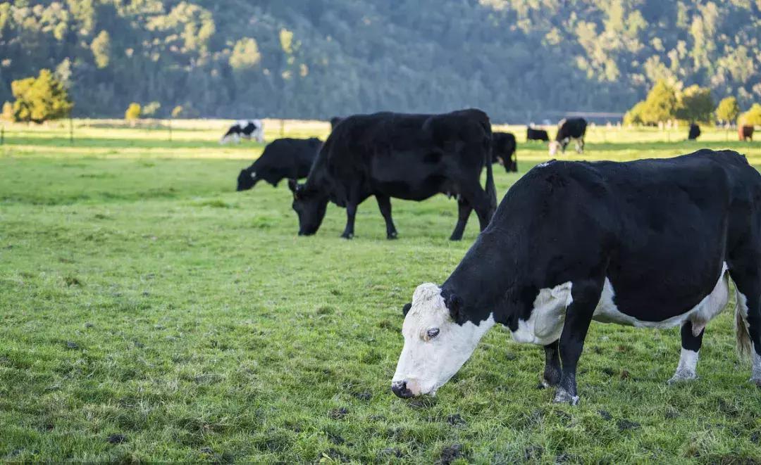 农产品电商创业计划书,农村农产品电商怎么做新手入门的