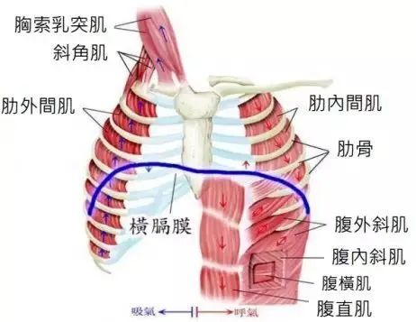 考核岔气?五招教你坚持到终点