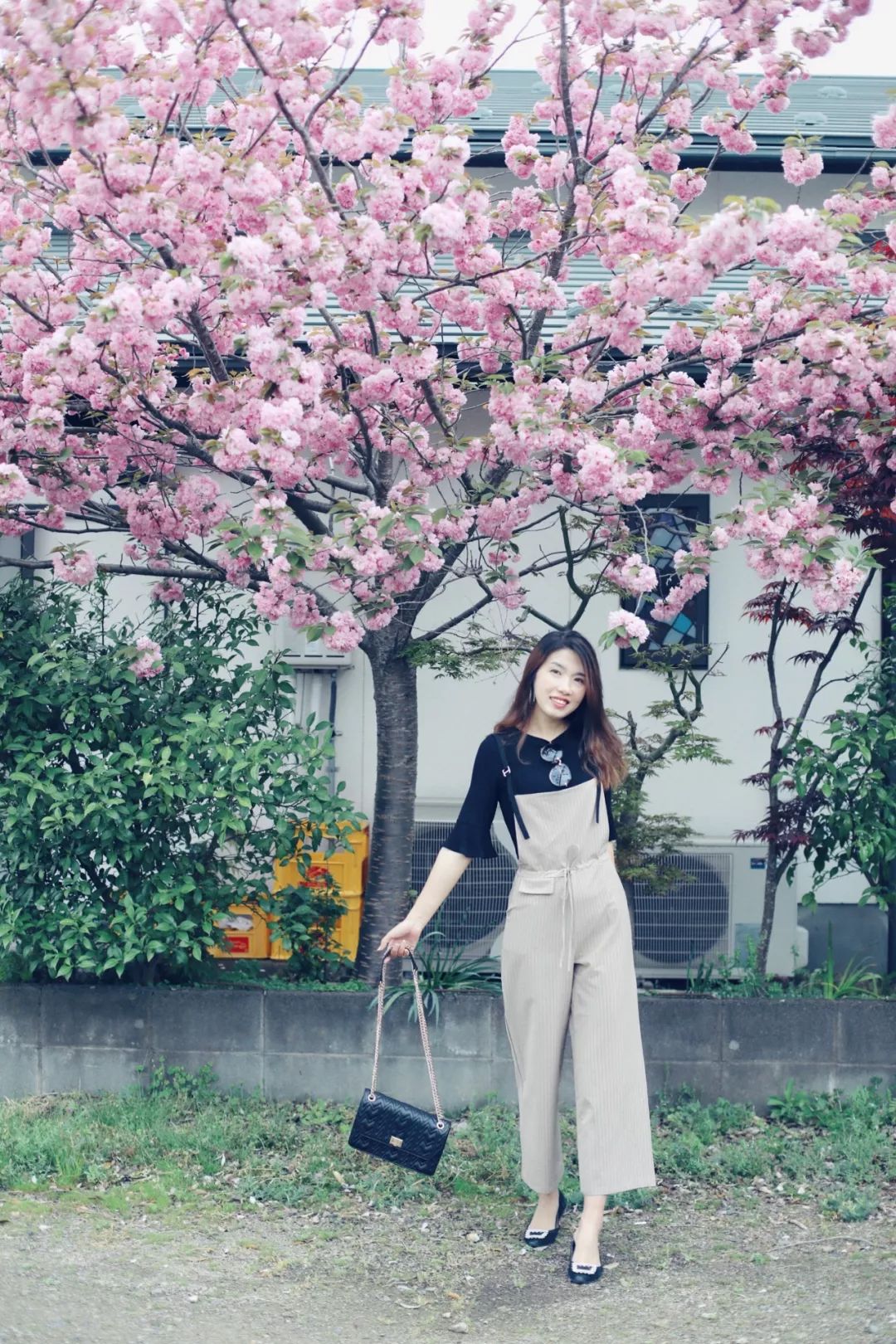 带父母豪华游轮环球旅行,带着父母们出游