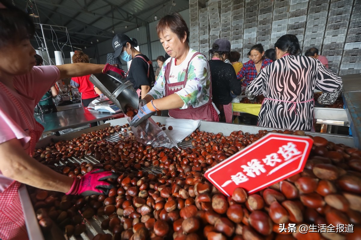 从中国制造转身为中国智造,从中国制造到中国智造未来