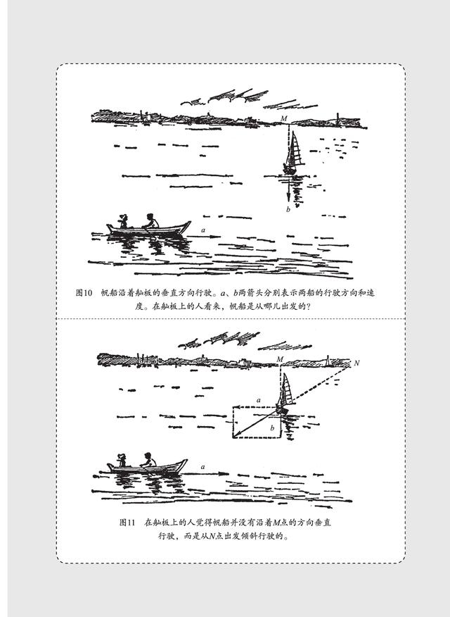 澳洲兔子泛滥为什么不抓来吃,为什么澳洲兔子不能吃