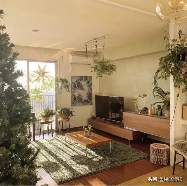 丁克夫妻一人一个房间,两人三餐四季爸妈的爱情