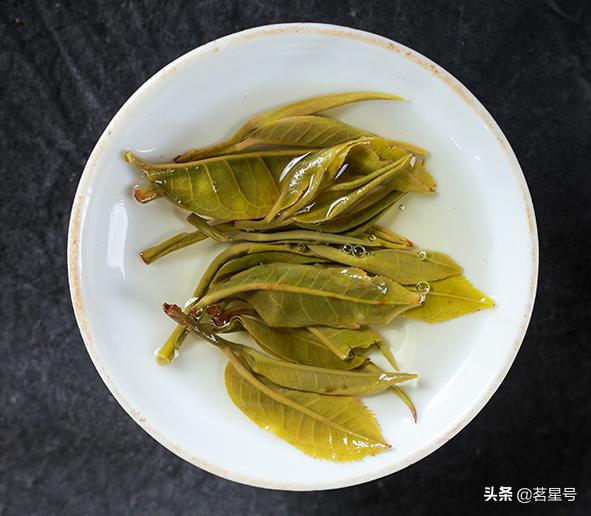 南糯山古树茶叶子特征是什么,勐库大雪山古树普洱茶特点和口感