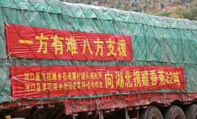 全球疫情爆发，122个国家感染，钟南山一句话指出真相