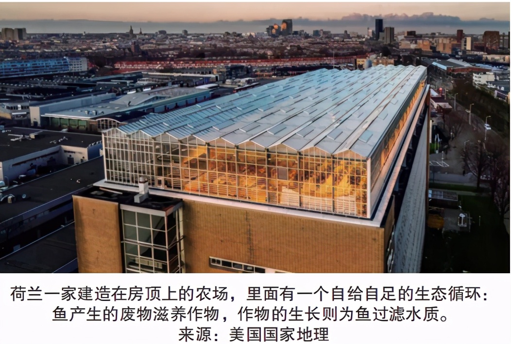 荷兰是怎么成为光刻机霸主的,荷兰最先进光刻机