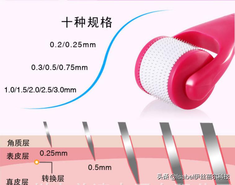 常用电子仪器的使用电路图,常见仪器及基本实验操作