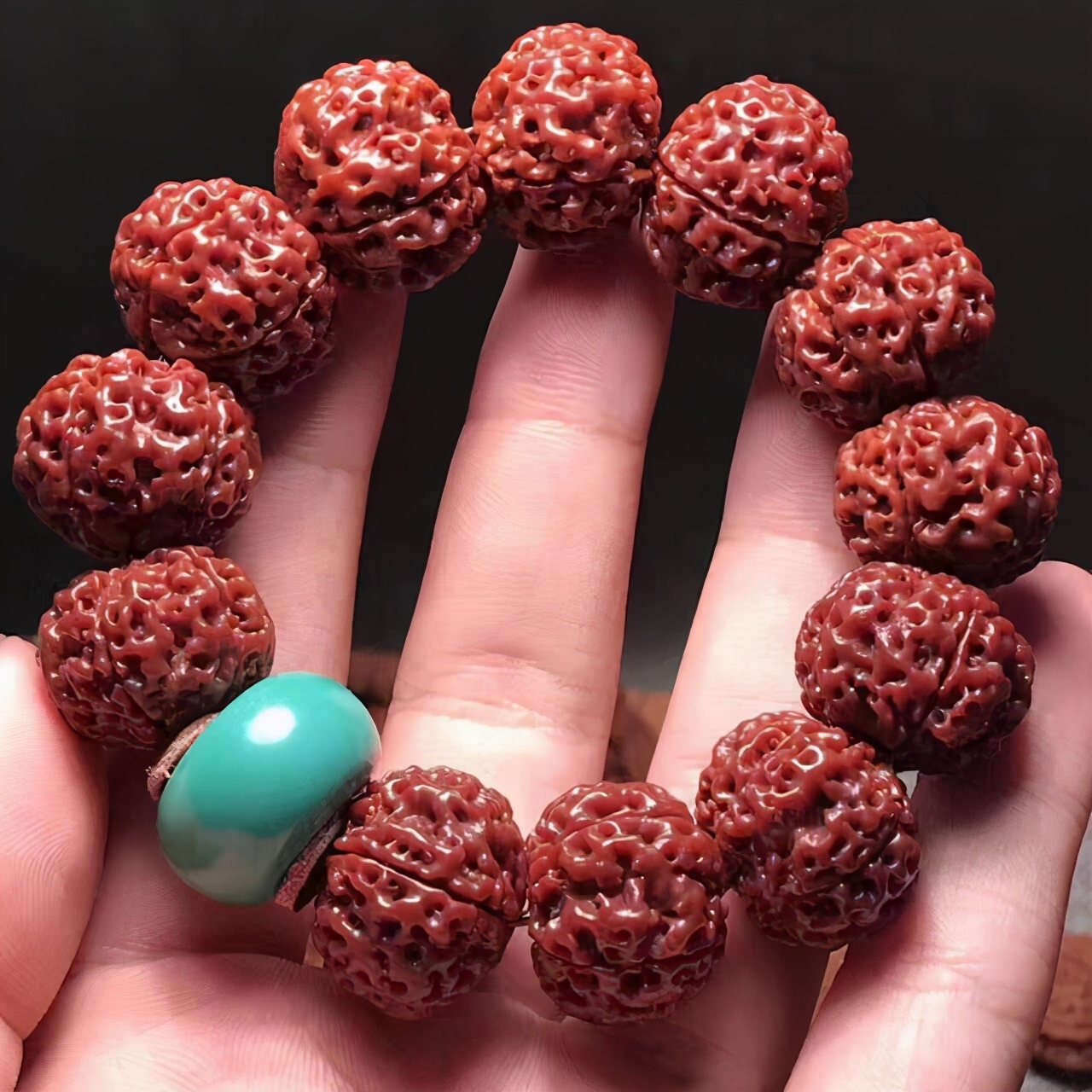 金刚菩提新手如何避坑,买金刚菩提如何避坑