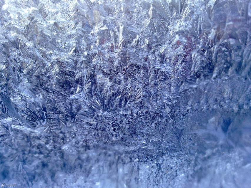 赏学作家郑旭东老师《东北风情》感赋之十九