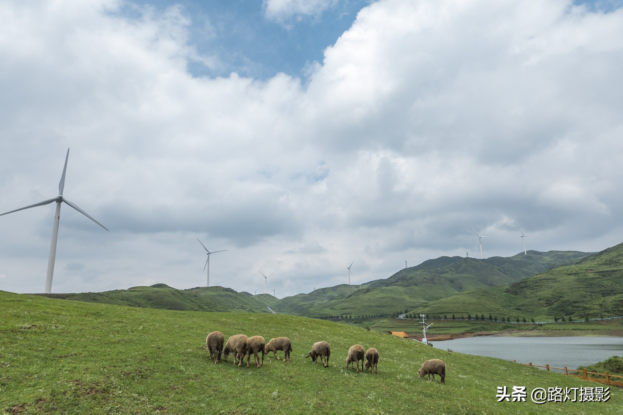 贵州这个县级市不简单，川黔要塞避暑胜地，靠一种水果跻身土豪榜