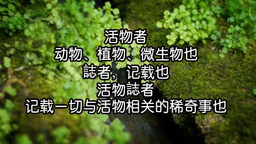 Science•活物誌丨纳尼？这世上还真有炮弹树？！所以能吃吗？