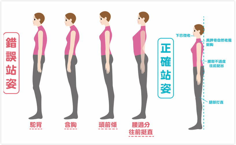 最美公交阿姨图片,公交最美老阿姨