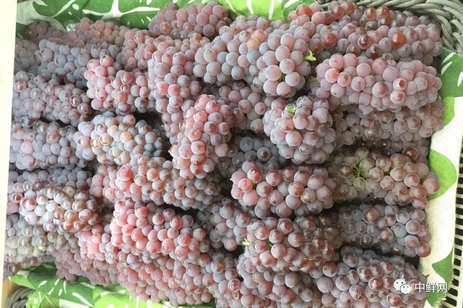 水果陈列技巧生鲜果蔬,水果陈列注重细节