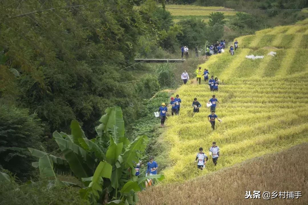 南粤古驿道平远站,平远县展览